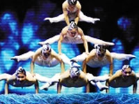 Acrobatic Troupe Photo